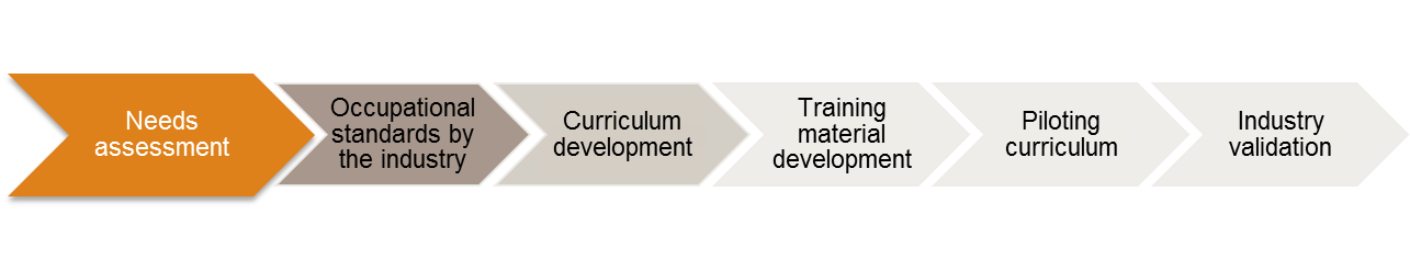 Curricula development