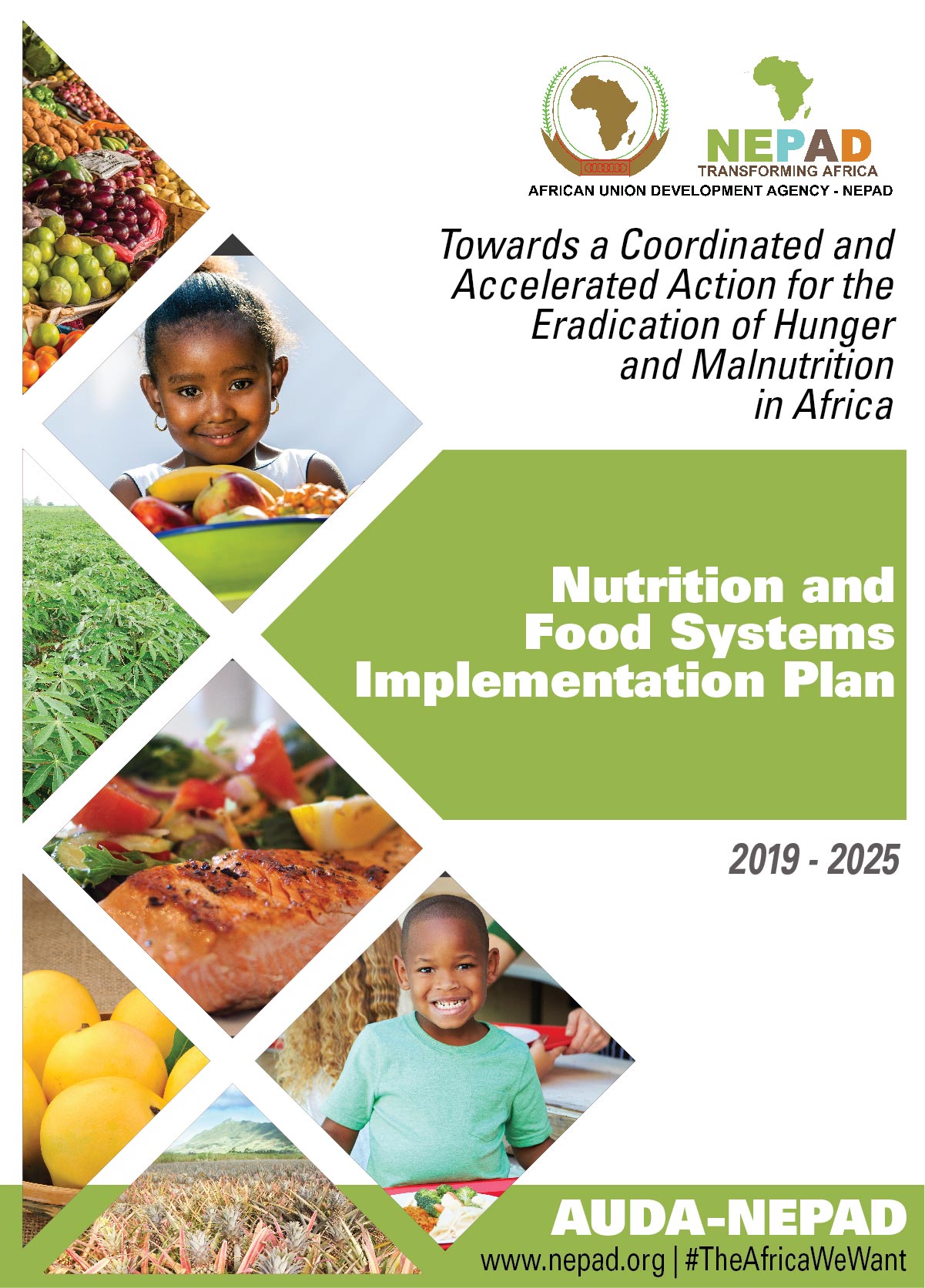 Nutrition and Food Systems Implementation Plan: Towards a Coordinated and Accelerated Action for the Eradication of Hunger and Malnutrition in Africa