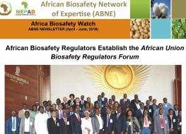 Africa Biosafety Watch – April to June 2019 Newsletter