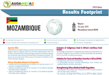 2019 AUDA-NEPAD Footprint: Country Profiles: Mozambique