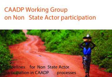 Guidelines for Non State Actor participation in CAADP processes