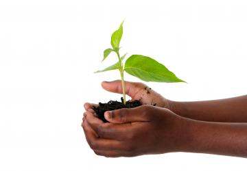 Launch of African Agri-Business Engine for private sector agricultural finance 