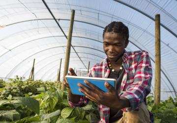 Africa to redouble efforts for vision 25x25 on Climate Smart Agriculture