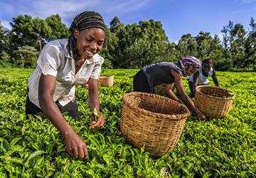 All women CSA affair in Rumphi district