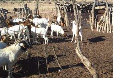 One week to the 3rd AFRICA Climate Smart Agriculture (CSA) Alliance Forum