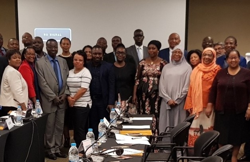 Participants at the AU Model Law capacity building session in Johannesburg