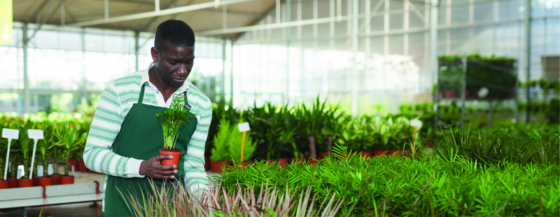 AUDA-NEPAD Agricultural Technical Vocational Education and Training (ATVET)